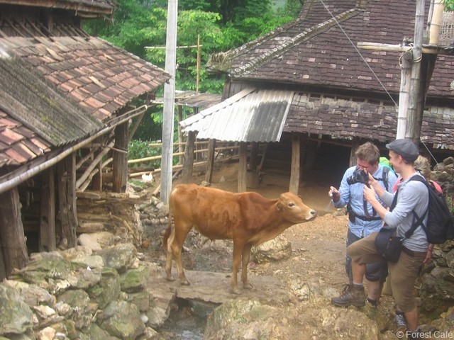 Chinese troops begin battle for citys