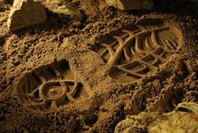 Foot Wear Detection System