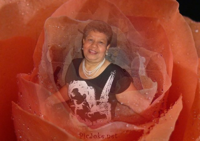 cumpleaños de mi mama