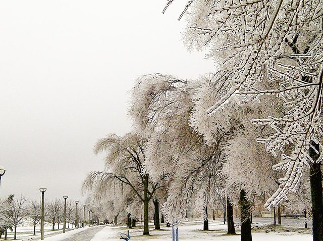 Ice Storm