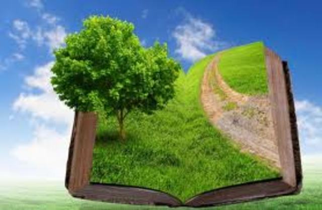 El termino " Recurso Renovable" Toma auge