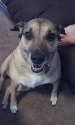 Happy Birthday Parker!