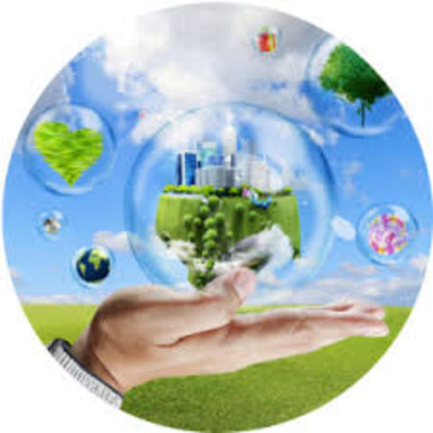 THE POLLUTION PREVENTION