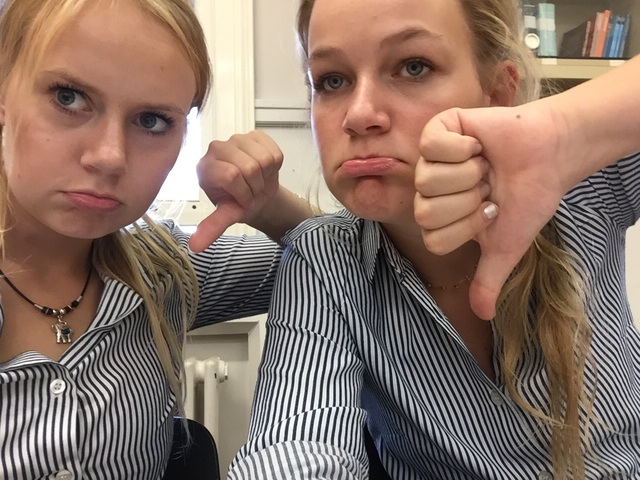 Hitler wirde Reichskanzler