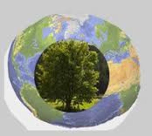 Reforma constitucional