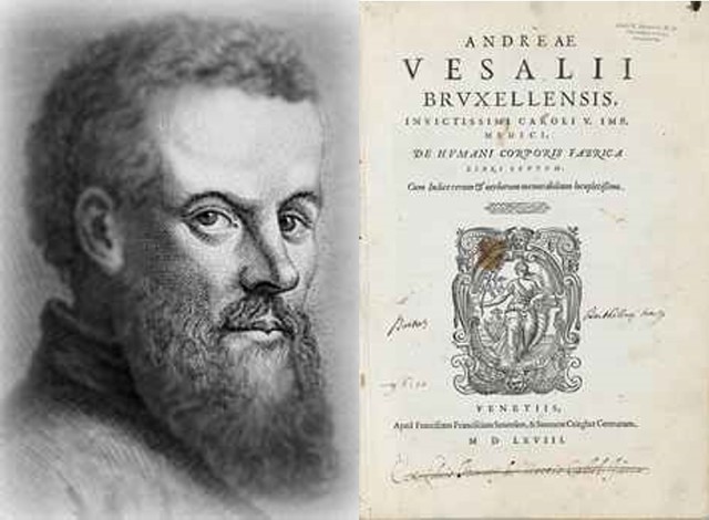 andreas vesalius (1514 - 1564)