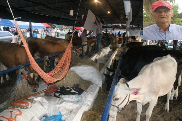 Feria de la Candelaria - Bugaba, Chiriquí.