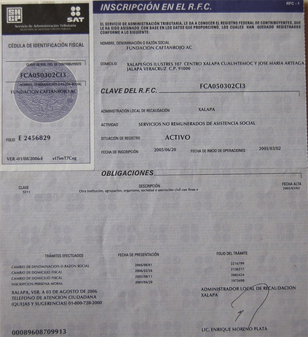 El nacimiento de Internet