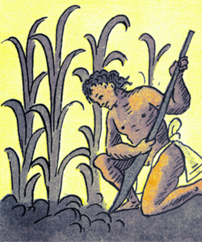 Principios de la Agricultura