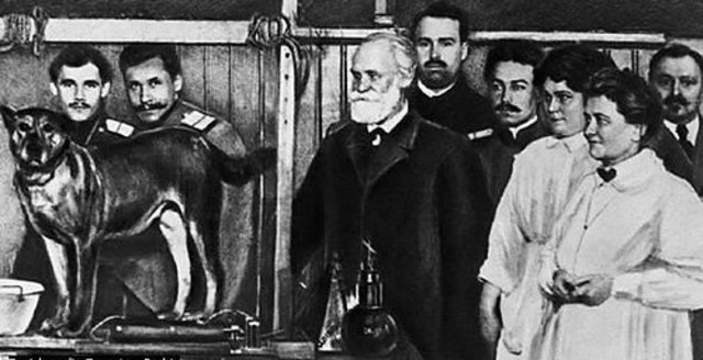 La Neurosis Experimental