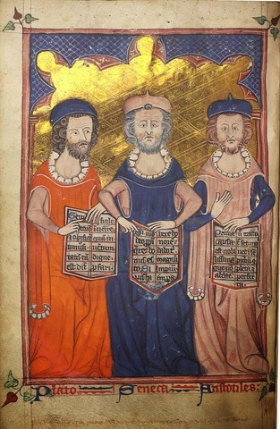 Nacimiento de Novato