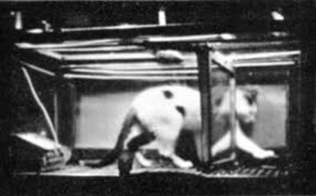 Más trabajos sobre neurosis experimentales en América