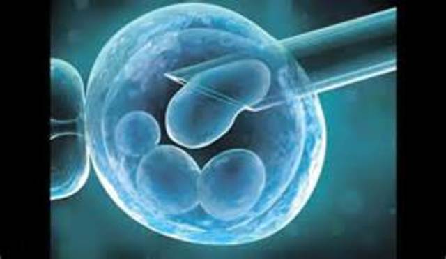 primer bebe "in vitro"