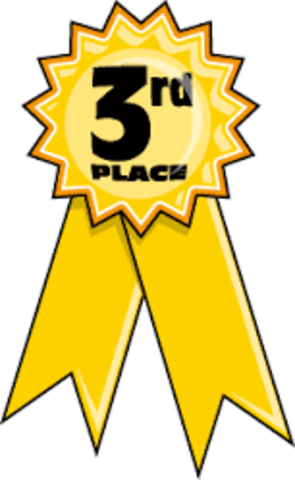 Who came in third place?