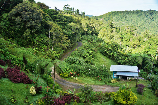 Established as National Park