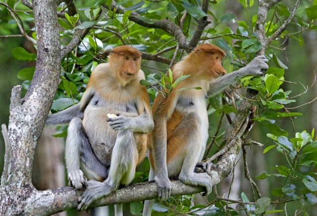 Possible Future Threats