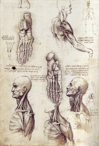 Leonardo Da Vinci Dissects Corpse