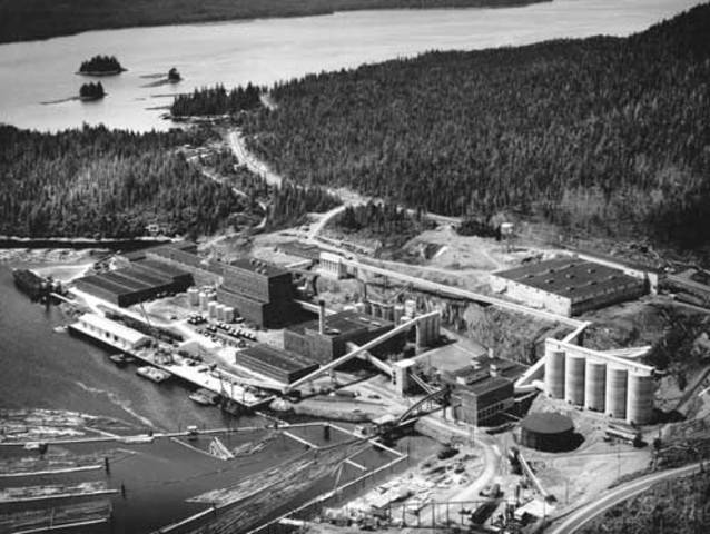 First large pulp mill threatens Tongass
