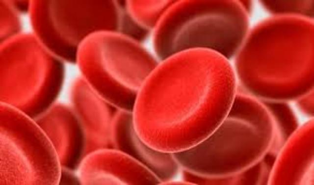Discovery of Blood Cells