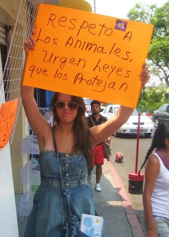 Asisto a mi primer marcha Pro-Derecho Animal.