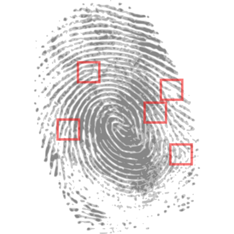 New York State Prison