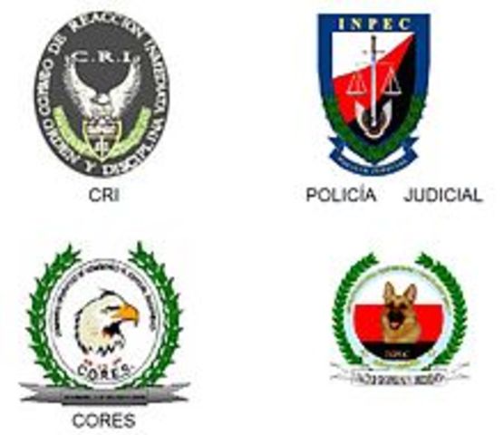 curso de policia judicial