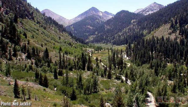 Yosemite plus Sequoia National Park