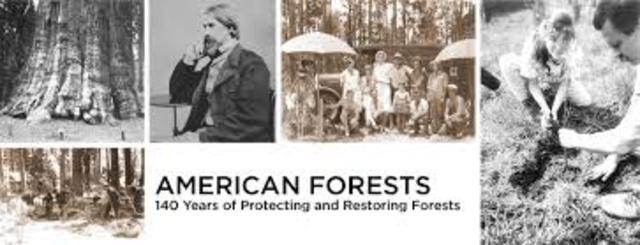 American Forestry Association founded