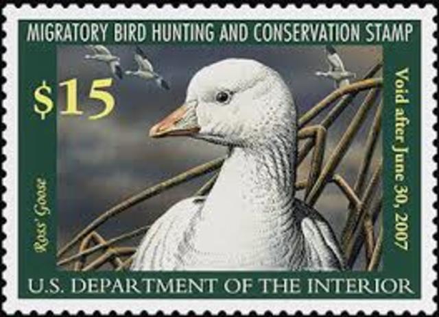 Migratory Bird Hunting Stamp Act