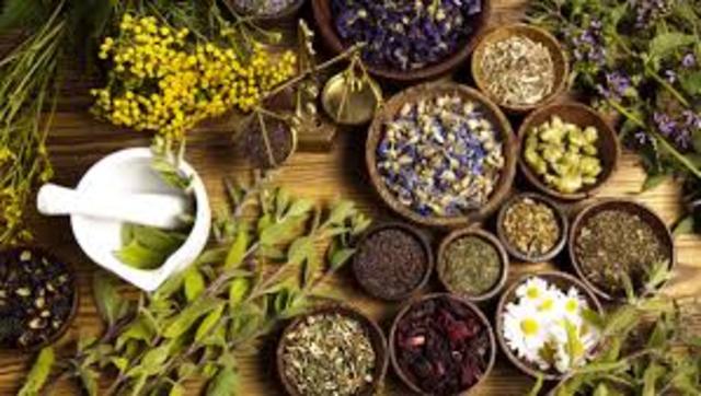 herbal medications