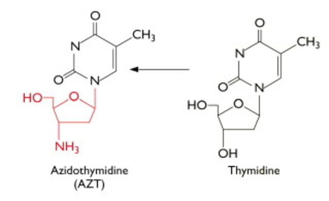 AZT