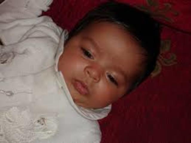 1977 ano do meu nascimento