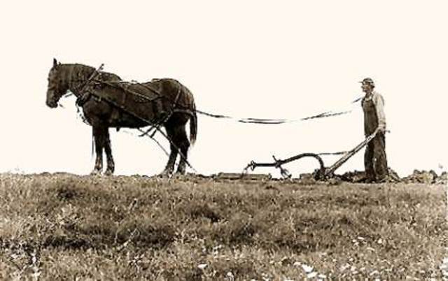 Steel plow pulled by horse