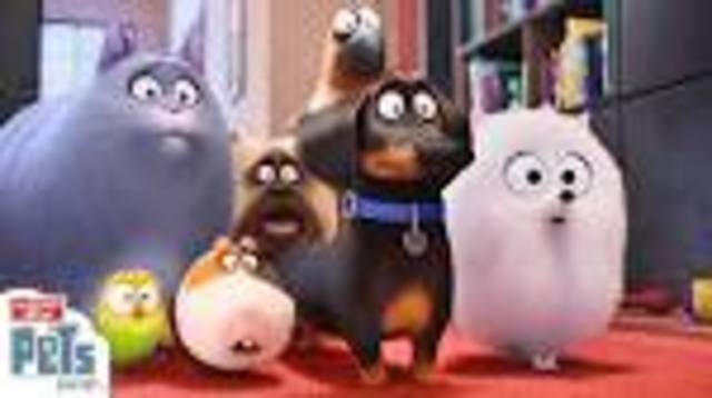 Secret life of pets