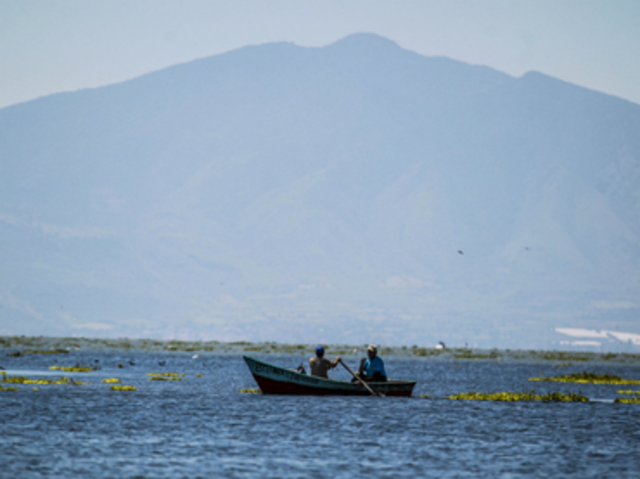 Cota más alta en últimos tres años