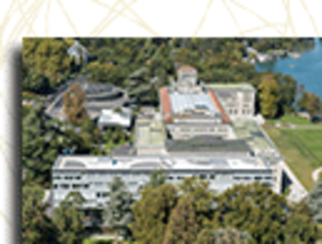 Octava Conferencia Ministerial (Ginebra)