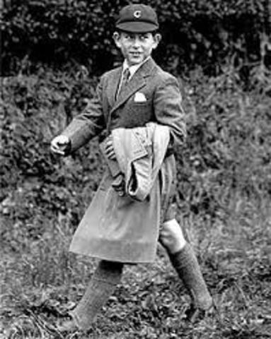 The Town Hears about the Case