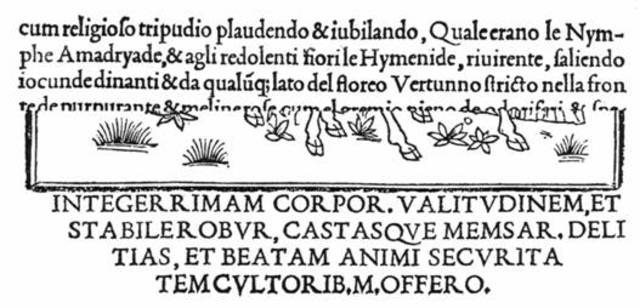 Escritura Humanística