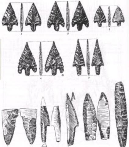 Desarrollo de las técnicas de trabajo