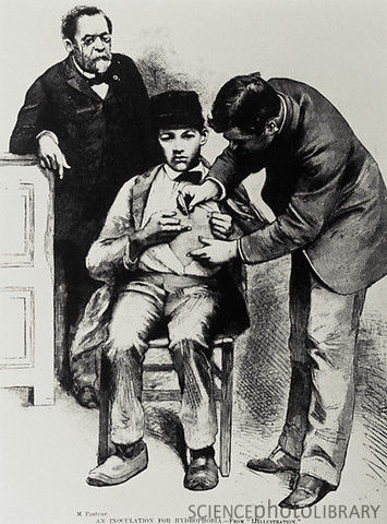 Pasteur y Émile Duclaux