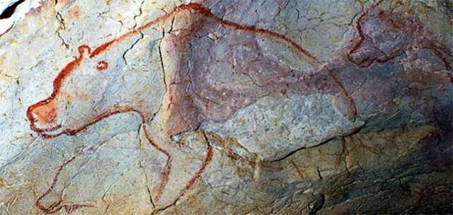 Bear, Recess of the Bears, Chauvet Cave, Vallon-Pont-d'-Arc, Ardeche Gorge, France.