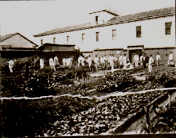 Profesión Veterinaria en VENEZUELA