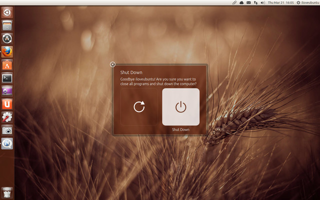 UBUNTU13.04-RARING RINGTAIL