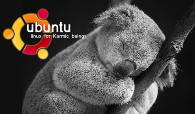 karmic koala