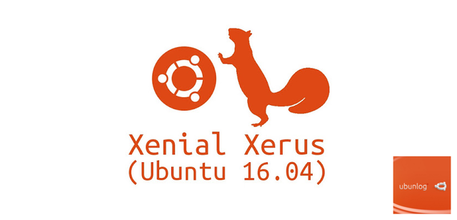 Vigesimo cuarta version