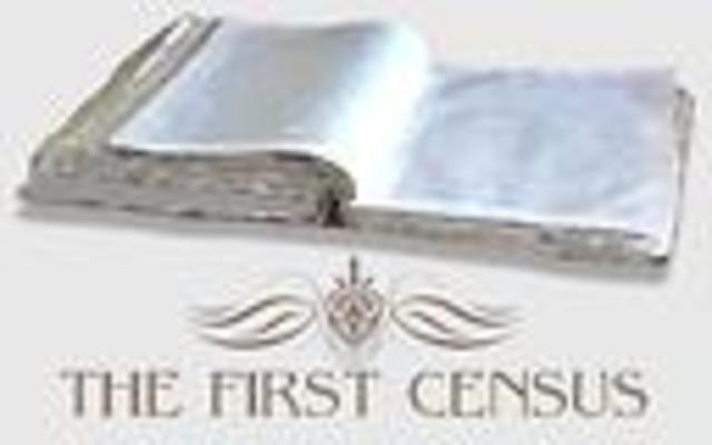 The First Census