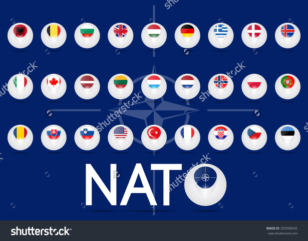 North Atlantic Treaty Organization (NATO)