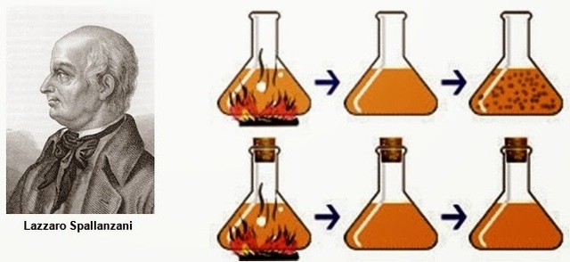 Lázaro Spallanzani