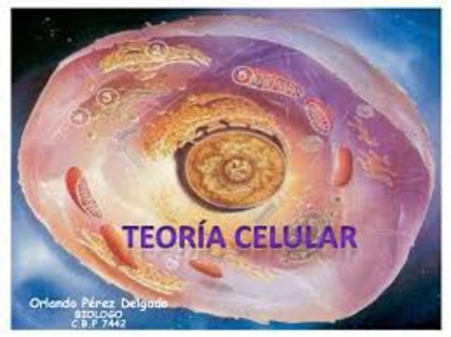 TEORIA CELULAR