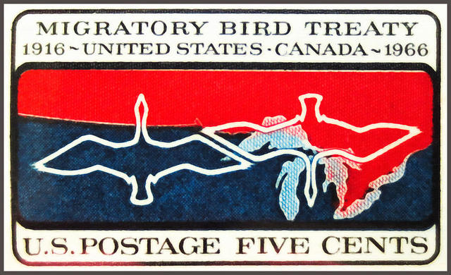 Migratory Bird Treaty Act